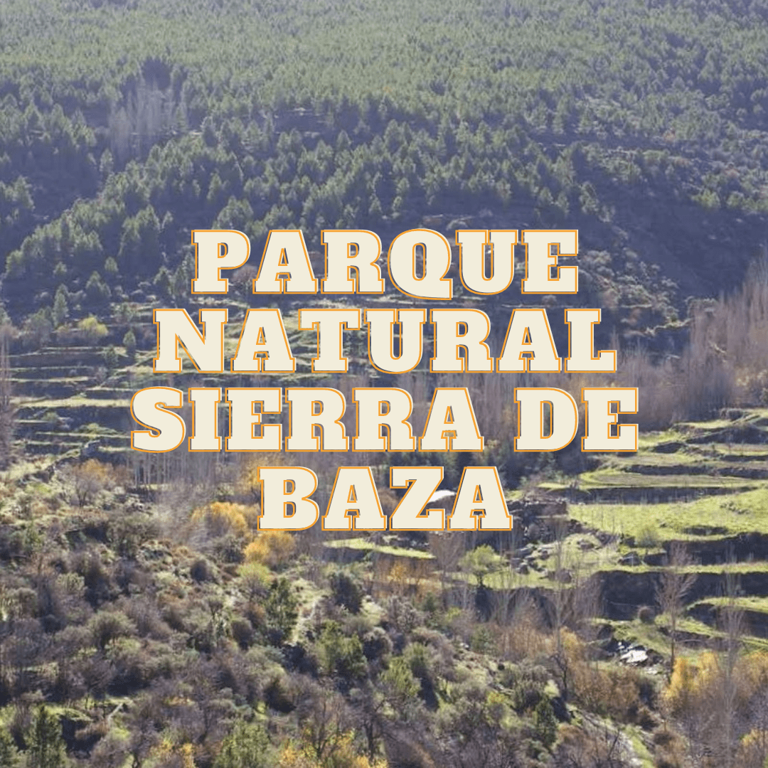 Ecoactiva Turismo (33)