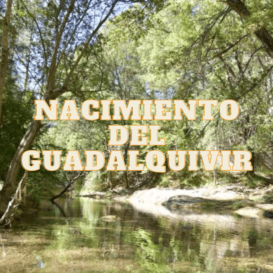 avistamiento-de-fauna-flora-y-aves-en-nacimiento-del-guadalquivir