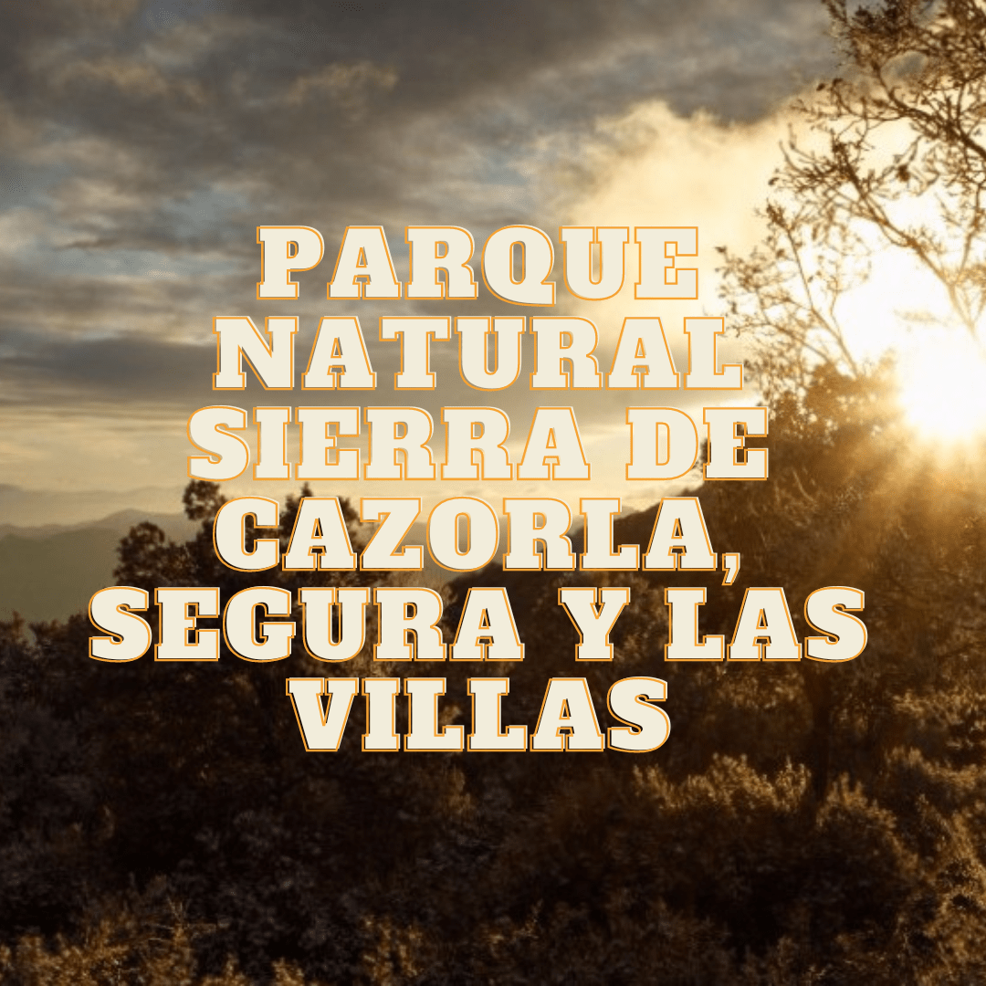 avistamiento-de-fauna-flora-y-aves-en-parque-natural-sierra-de-cazorla-segura-y-las-villas